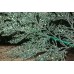 Κλαδί 75cm Κέδρος Glitter AF-15580