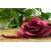 Τριαντάφυλλο με Φτερά 11cm Μπορντώ FI-8219