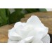 Τριαντάφυλλο Κολλαρισμένο 9.5cm Λευκό FI-8562