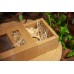 12τεμ Χάρτινα Κουτιά Craft με Διαφάνεια 14x10x5.2cm PI12-9599-14